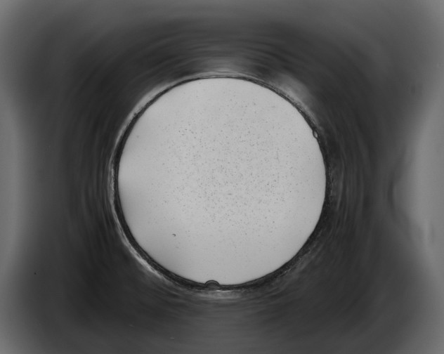 X0000082991476200703020834