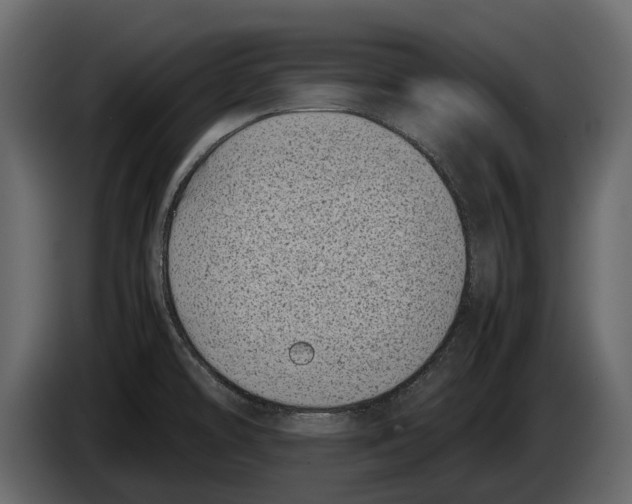 X0000082991478200703020834