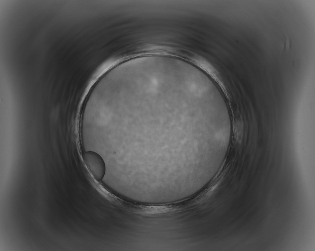 X0000082991482200703020834