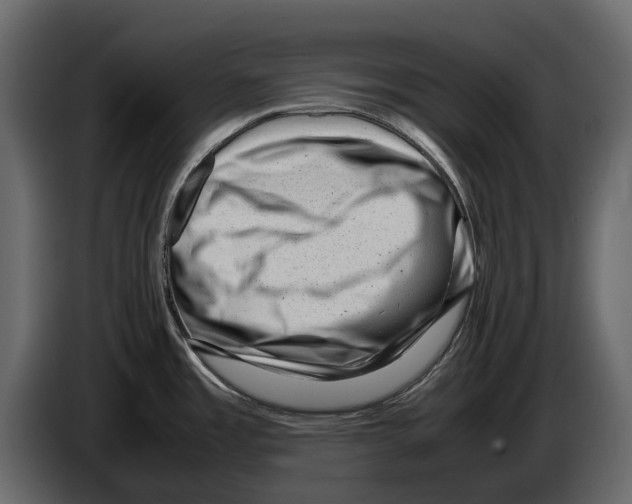 X0000082991485200703020834