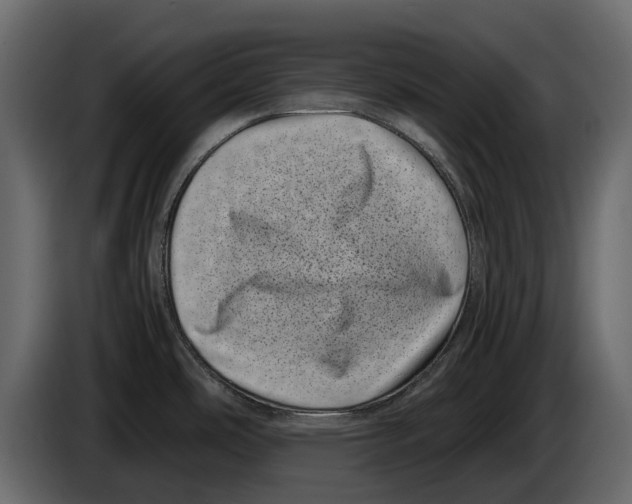 X0000082991486200703020834