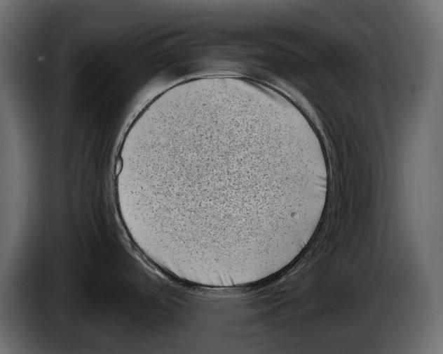 X0000082991488200703020834