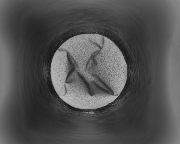 X0000082991490200703020833