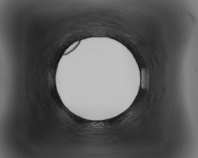 X0000082991491200703020833