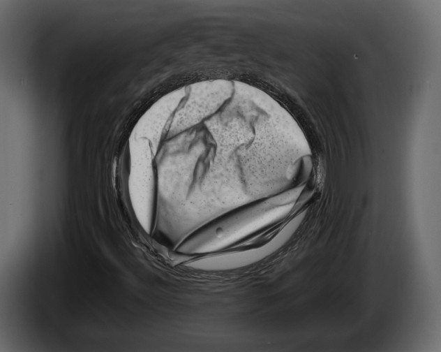 X0000082991492200703020833