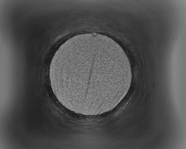 X0000082991494200703020833