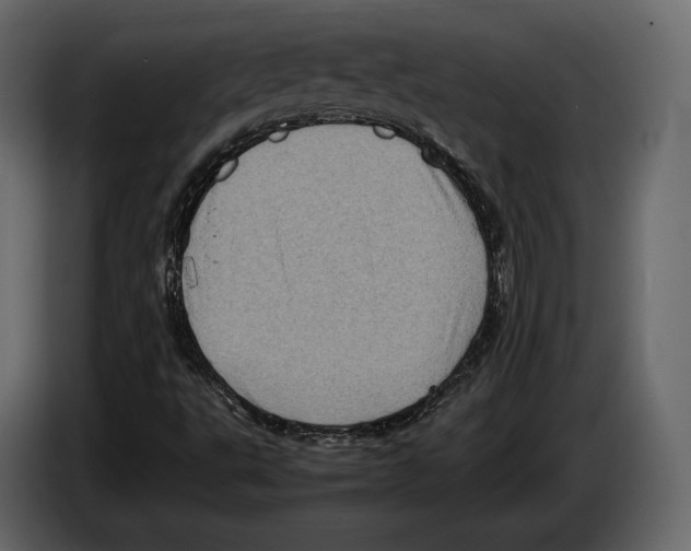 X0000082991495200703020833