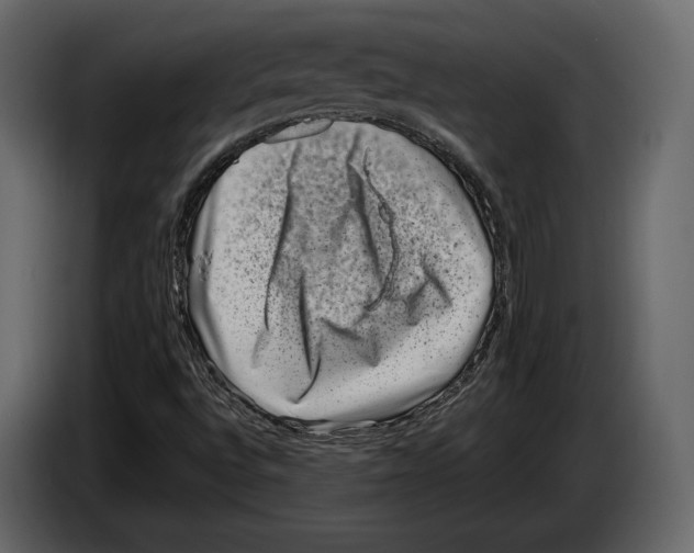 X0000082991496200703020833