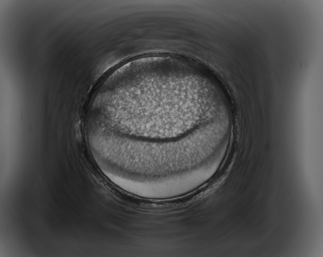 X0000082991497200703020833