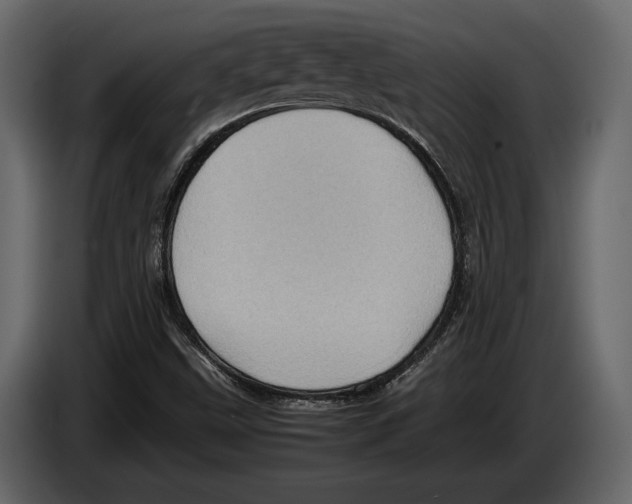 X0000082991499200703020833