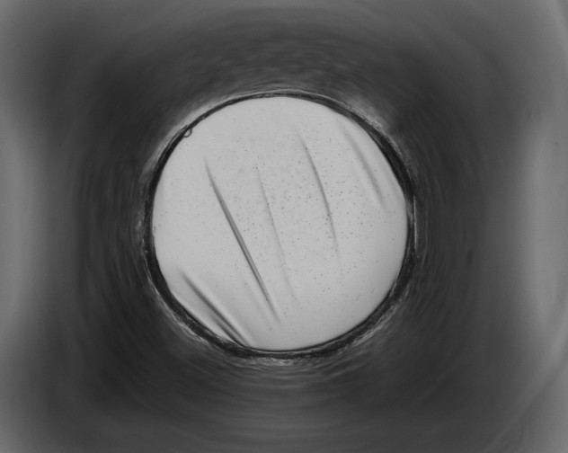 X0000082991500200703020833