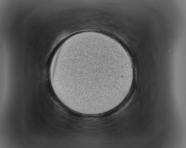 X0000082991501200703020833