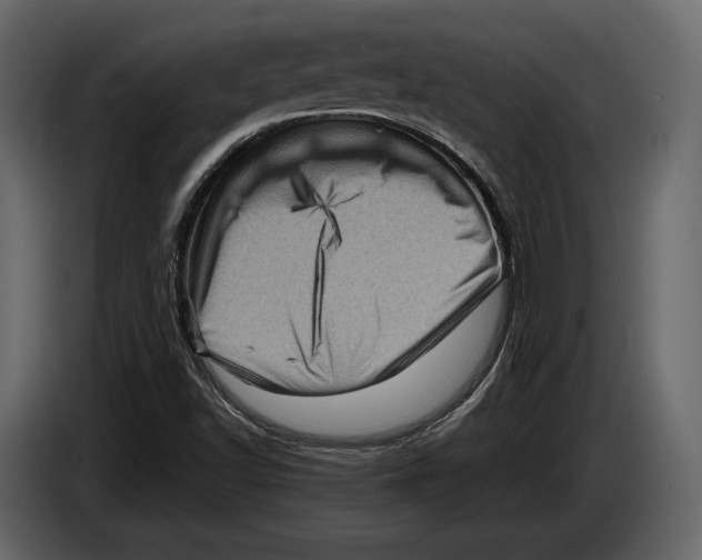 X0000082991502200703020833