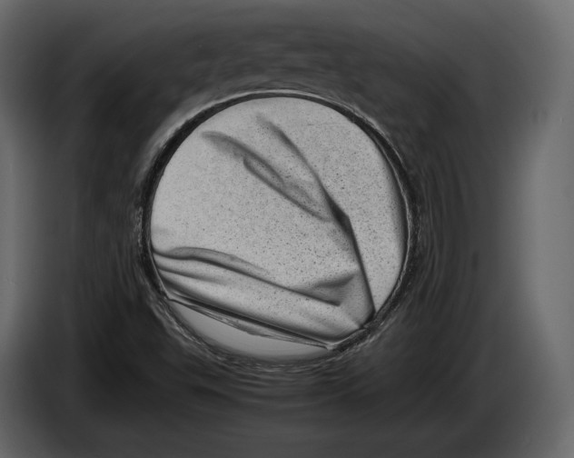 X0000082991503200703020834