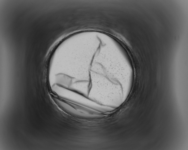 X0000082991504200703020834