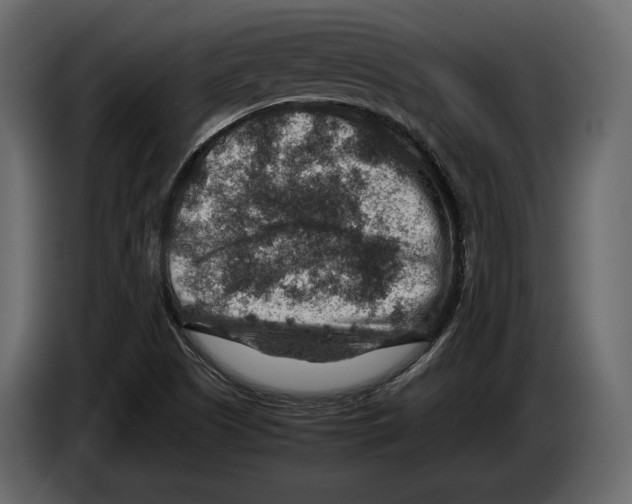 X0000082991505200703020834