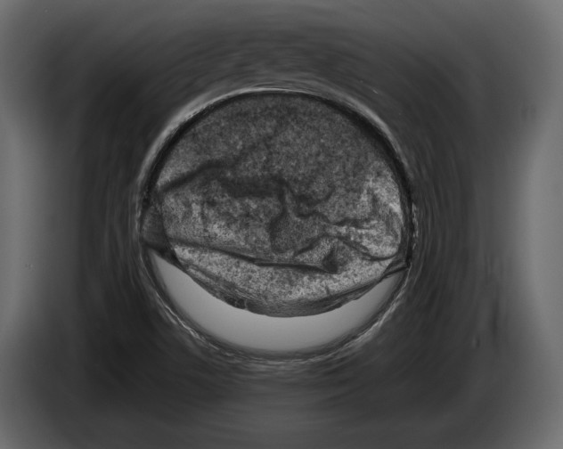 X0000082991506200703020834