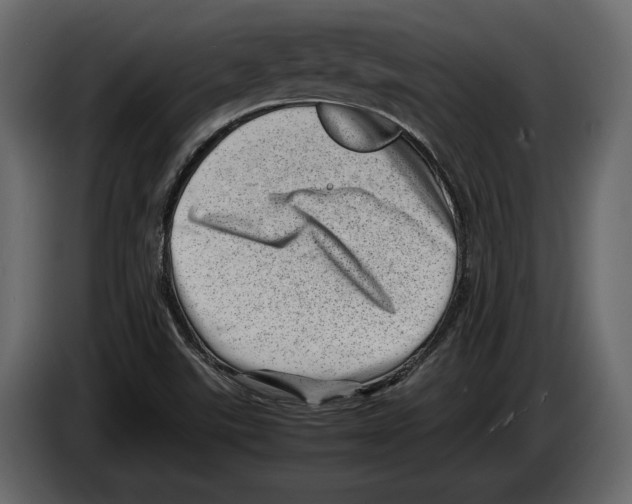 X0000082991507200703020834