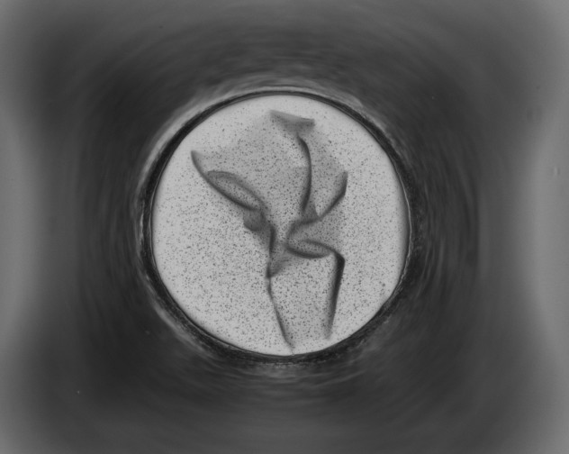 X0000082991511200703020834