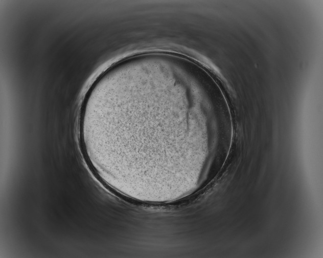 X0000082991512200703020834