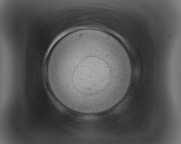 X0000082991514200703020834