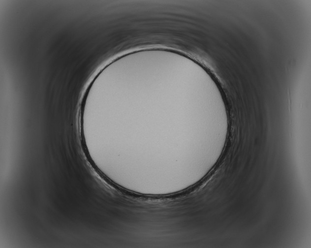 X0000082991516200703020834