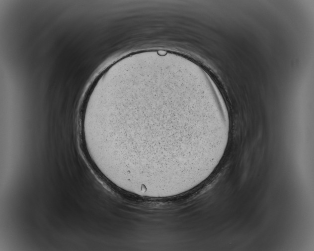 X0000082991517200703020834