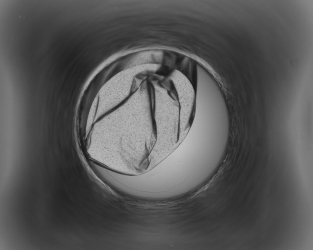 X0000082991518200703020834