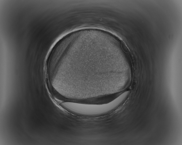 X0000082991519200703020834