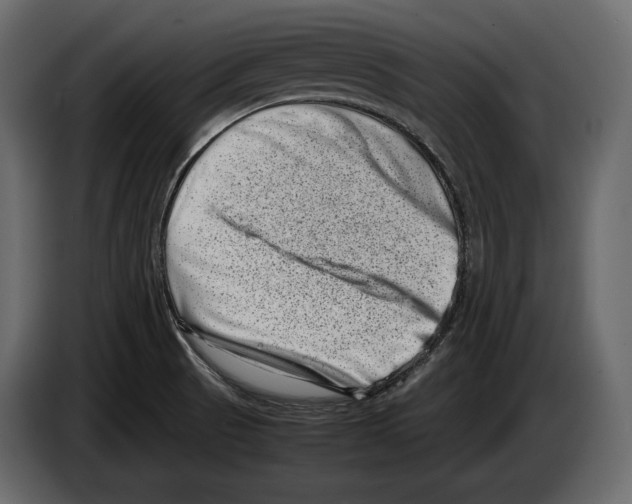 X0000082991521200703020834