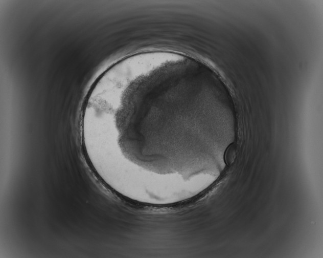 X0000082991522200703020834