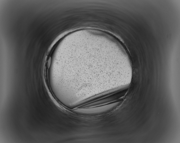 X0000082991523200703020834