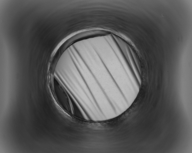 X0000082991524200703020834