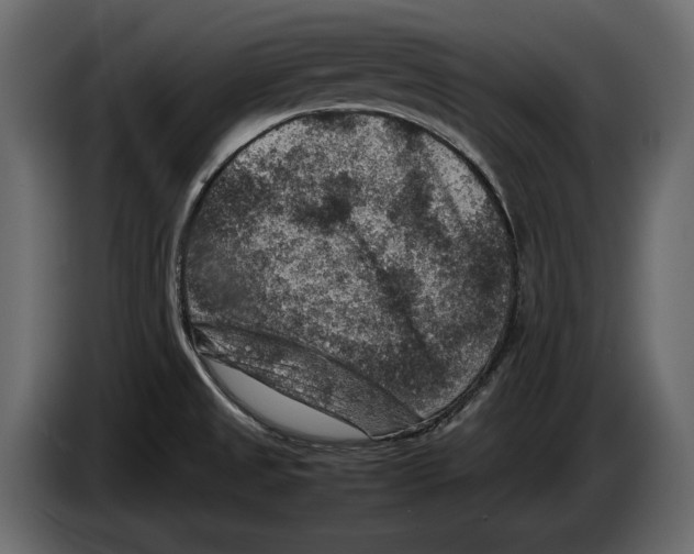 X0000082991525200703020834