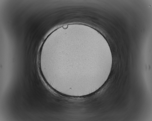 X0000082991526200703020834