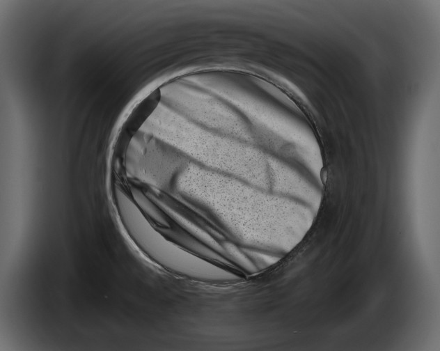 X0000082991528200703020834