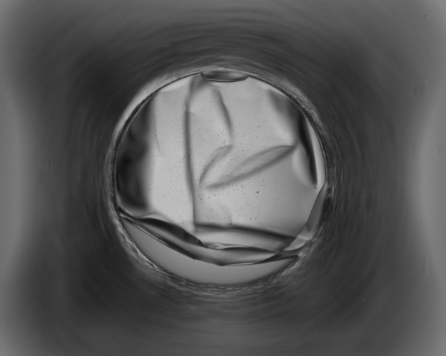 X0000082991530200703020834