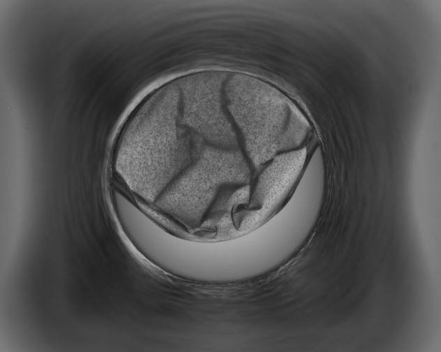 X0000082991531200703020834