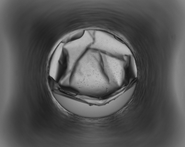 X0000082991532200703020834