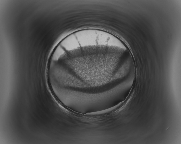 X0000082991533200703020834