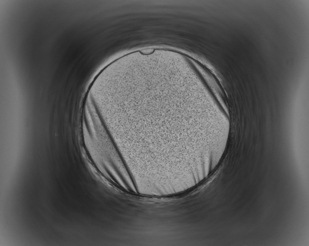 X0000082991534200703020834