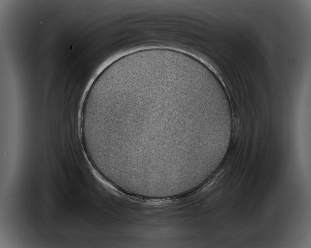 X0000082991535200703020834