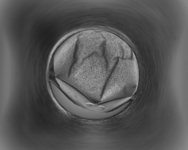 X0000082991536200703020834