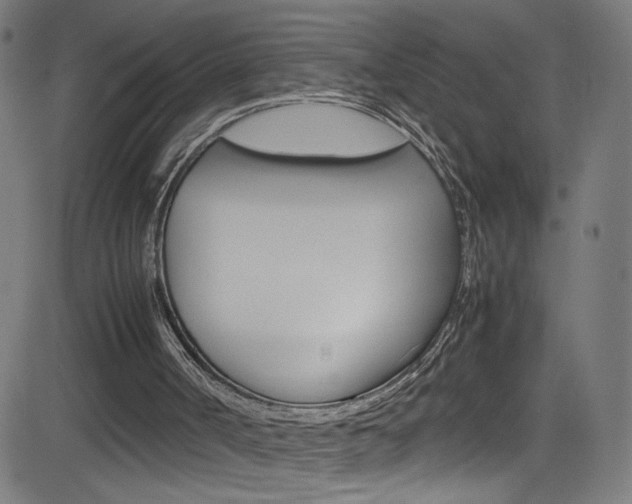X0000083000002200702011221