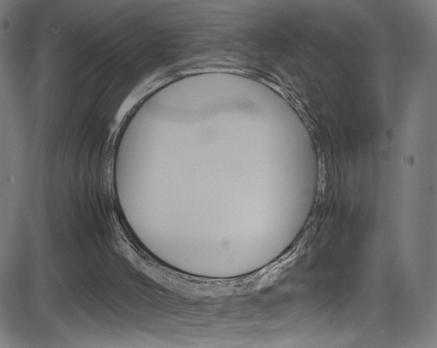 X0000083000004200702011221