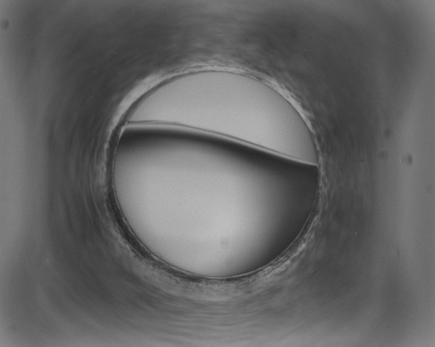 X0000083000008200702011221