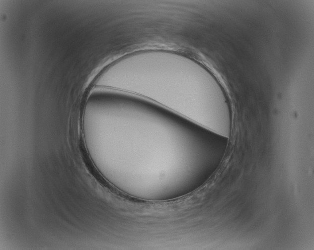 X0000083000011200702011221