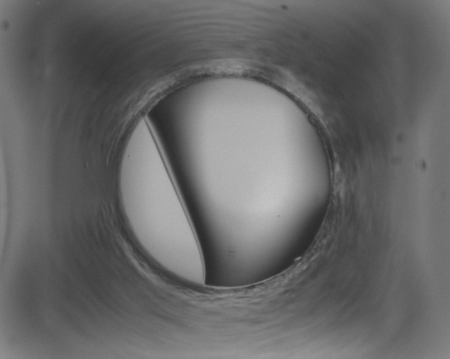 X0000083000013200702011221