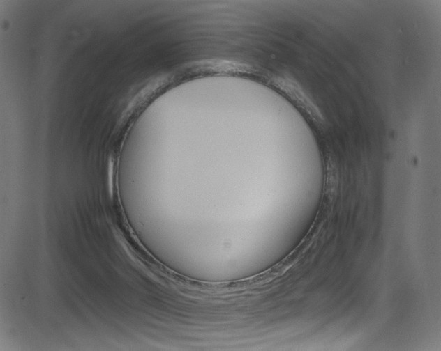 X0000083000014200702011221