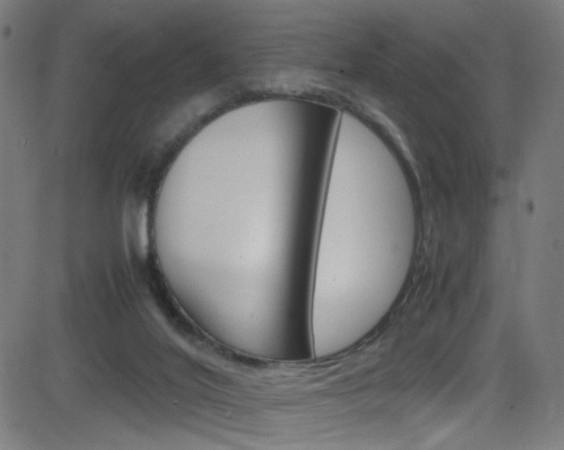 X0000083000020200702011221